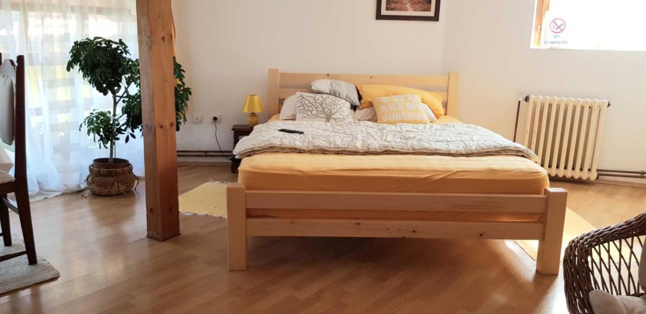 Apartament Stan Na Dan Zaječar Zewnętrze zdjęcie