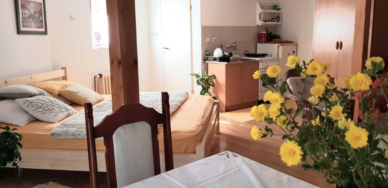 Apartament Stan Na Dan Zaječar Zewnętrze zdjęcie
