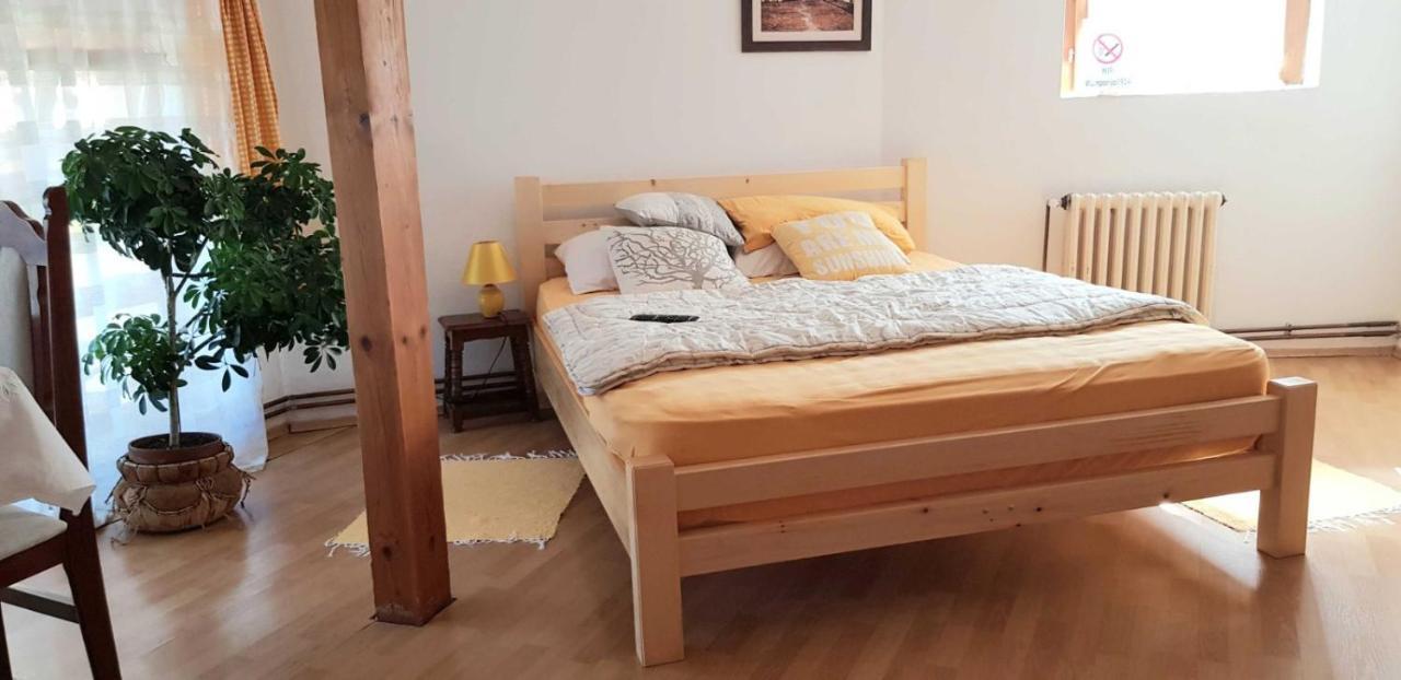 Apartament Stan Na Dan Zaječar Zewnętrze zdjęcie