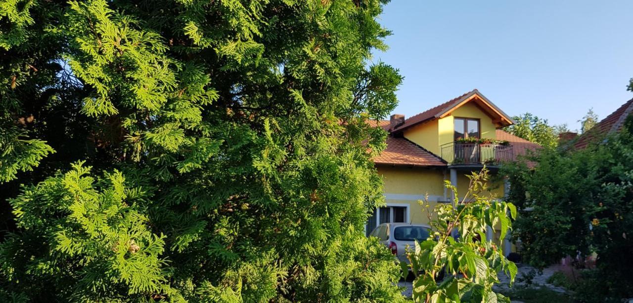 Apartament Stan Na Dan Zaječar Zewnętrze zdjęcie